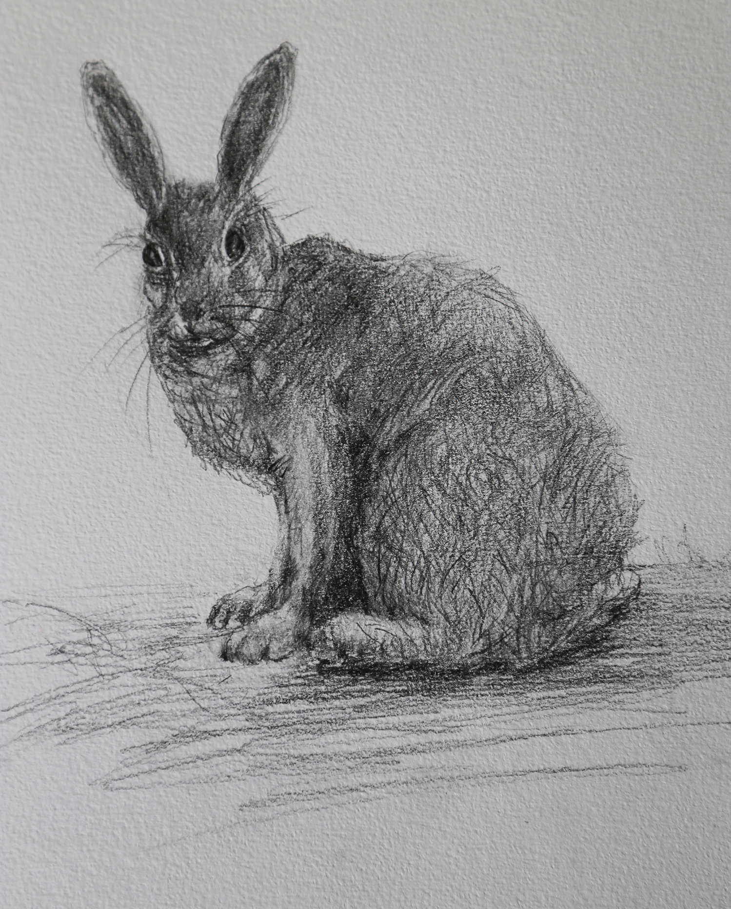 Wise old hare who becomes a mentor and guide to Blossom
