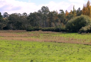 The River Flats near Meadowbrook