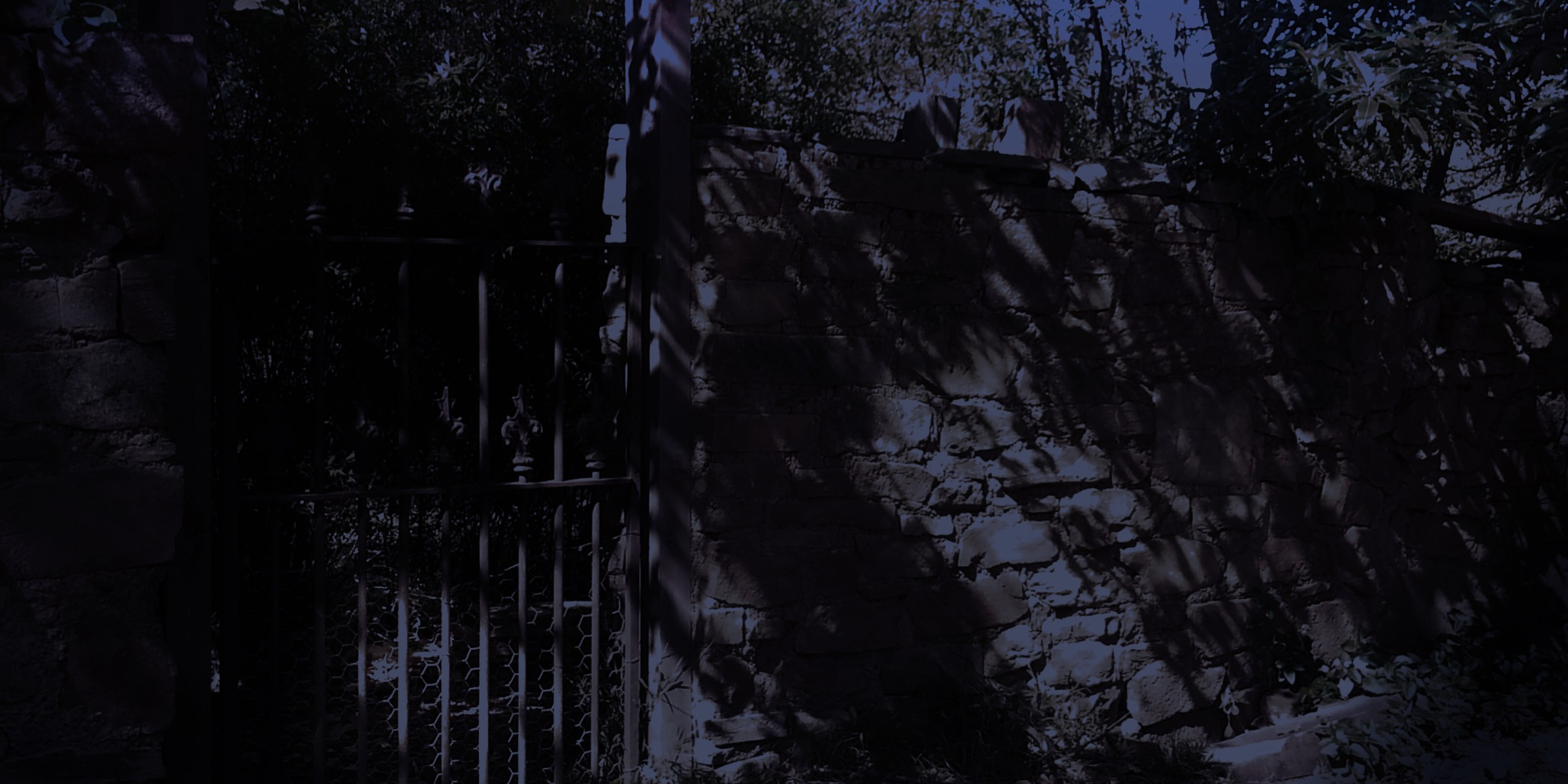 Decorative steel bar gate in the garden's high stone wall with shadows and pooled moonlight in the garden and outside the gate. Shrubs and trees tumbling over the high stone wall.