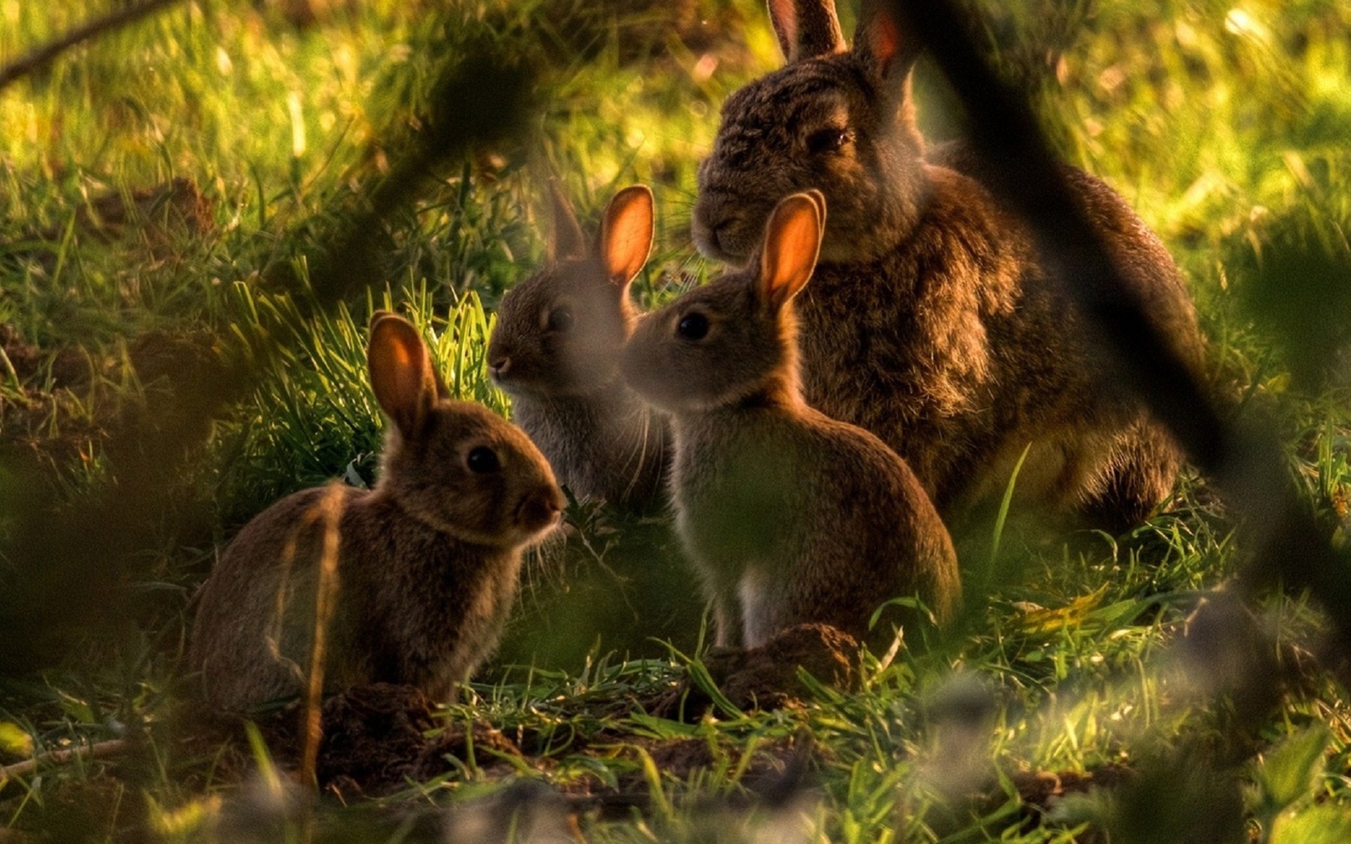 Close up photo through the wire fence; we see one of Agatha's sisters with her young family