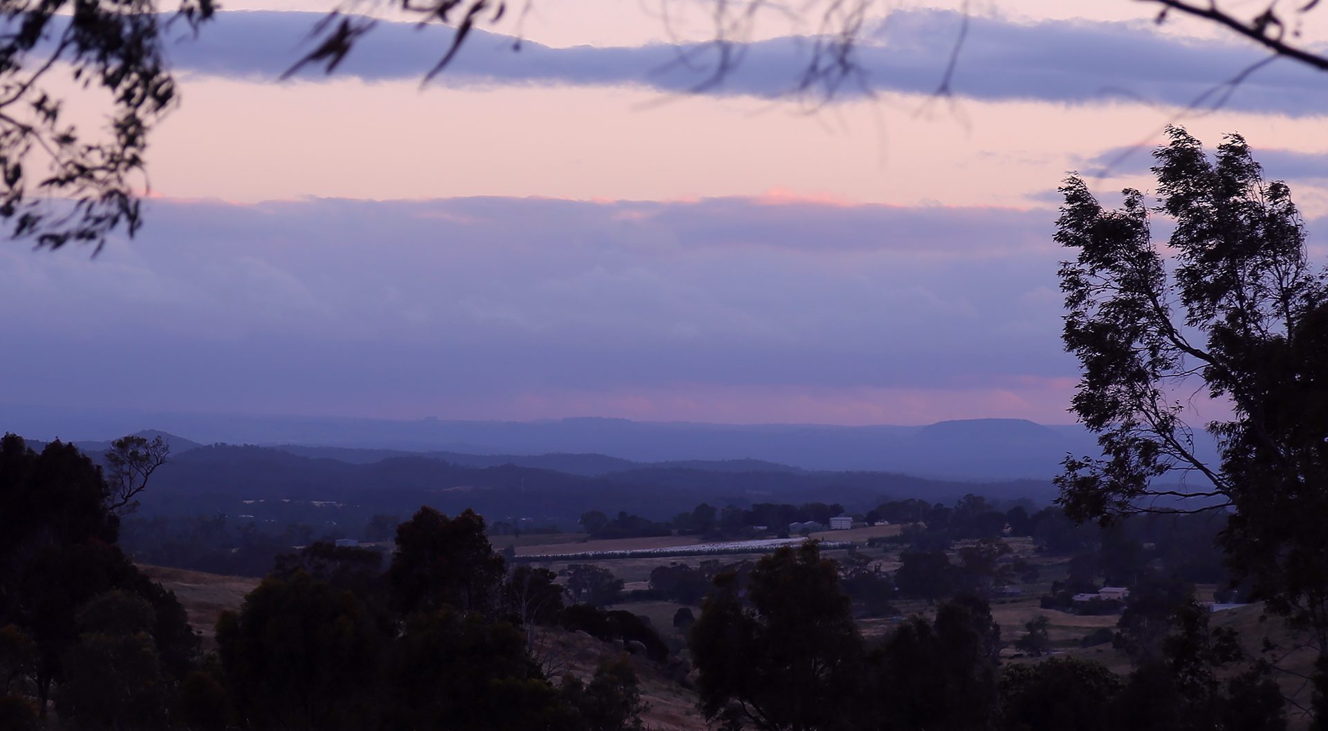 Blossom the Were-Rabbit