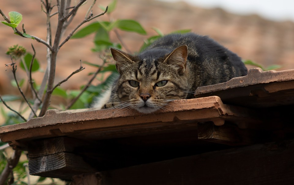 mathieu-heurtevin-jMyQEBwBoHQ-unsplash-1920_Malevant-3-crpd