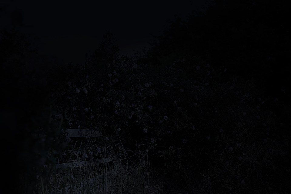 Rose_Gate_Evening_edit_02